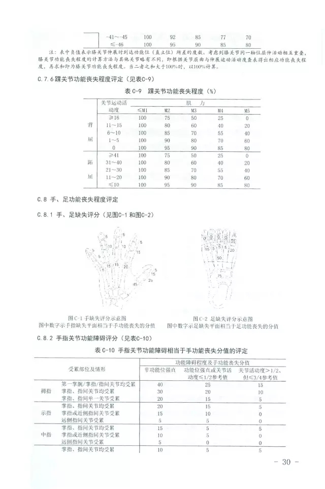 人體損傷致殘程度分級(jí)30